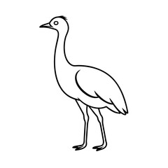 High Resolution Kori Bustard Outline Vector Illustration