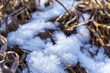 Frost-Covered Ground with Dried Grass Stems