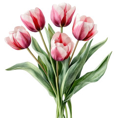 Fototapeta premium A bright bouquet of tulips