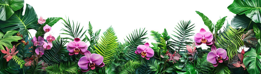 Vibrant orchids surrounded by lush green foliage