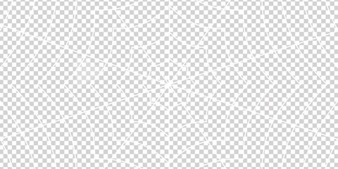 Halloween spider web and spiders isolated on white background. Black spider and torn web.