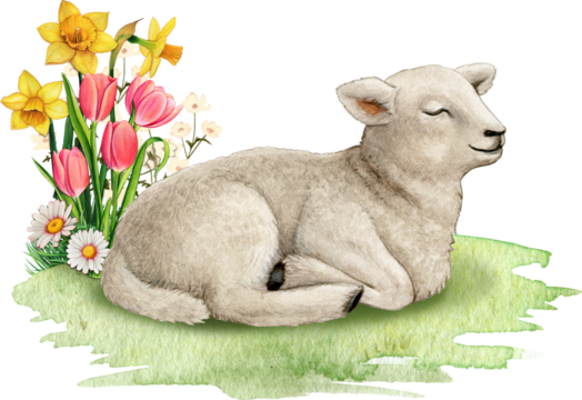 Watercolor realistic cute farm lamb