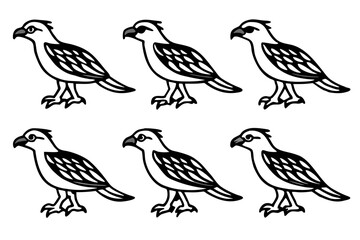 Fototapeta premium Elegant Osprey Vector Design