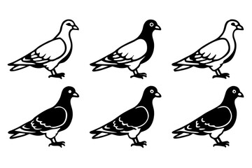 Elegant Pigeon Outline Design