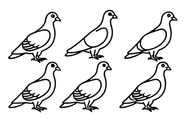 Elegant Pigeon Outline Design