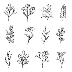 A collection of ten stylish botanical elements in a minimalist doodle style. Perfect for creating logos, packaging, greeting cards, textiles, scrapbooking, and decorative projects. Ideal for both digi