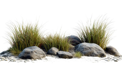 Green thatch and stones