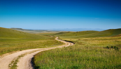 Fototapeta premium a scenic view of a winding dirt road through vast open grasslands under a clear blue sky