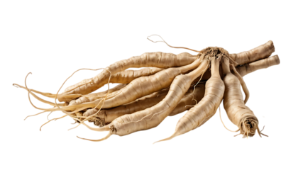 ginseng root png