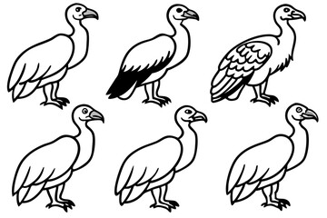 Elegant Vulture Outline Pack