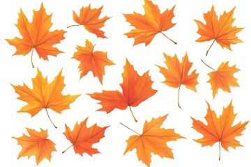 Autumn's Embrace: A Cascade of Vibrant Orange Maple Leaves Dancing on the Gentle Breeze, Falling Gracefully Through the Air, Creating a Stunning Natural Spectacle of Autumnal Colors. Perfect for      