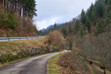 Enchanting Autumn Mountain Road Winding Through Traditional Black Forest Village with Red Roofed Houses and Lush Green Hills. Scenic Rural Highway Meanders Past White Alpine Buildings in Picturesque