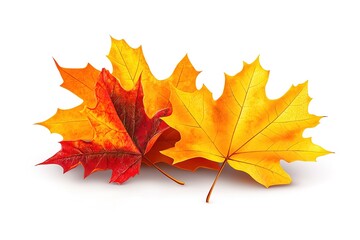 Fototapeta premium Autumn Leaves Falling Gracefully Isolated on White: Perfect for Autumnal Designs, Fall Decorations, Seasonal Backgrounds, Thanksgiving Invitations, Website Banners, and more. Ideal for creating 