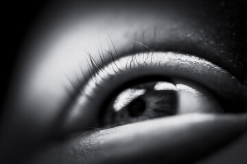 Close-up, black-and-white photo of a human eye, capturing intricate details of eyelashes, eyelid,...