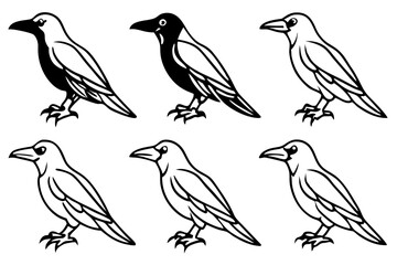 Minimal Raven Vector Pack