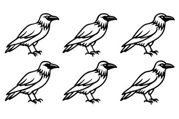 Fototapeta premium Minimal Raven Vector Pack