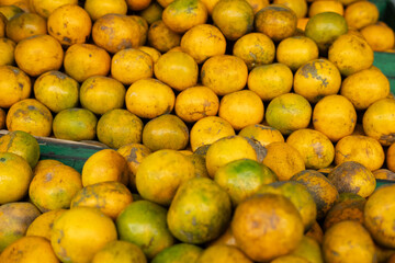 A display of fresh ripe and unripe oranges, showcasing their vibrant colors and natural texture in a market or store setting