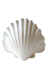 Isolated White Seashell Sculpture