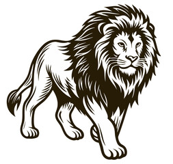 Fototapeta premium Muscular lion walking on savanna grasslands, strong big cat with regal mane, powerful wild animal, African wildlife, symbol of strength and leadership