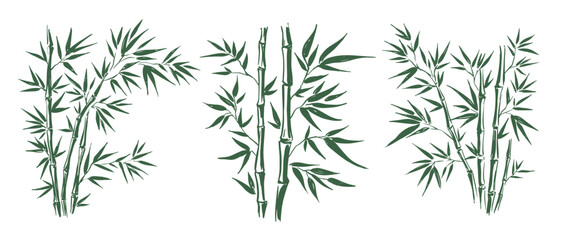 Bamboo tree, Hand drawn style.