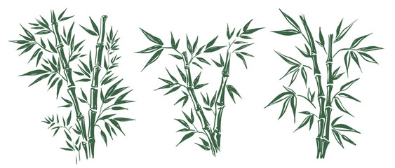 Bamboo tree, Hand drawn style.