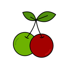 vector illustration of cherry