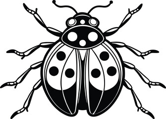 Fototapeta premium ladybug insect cartoon vector illustration 