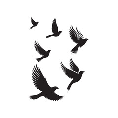 Bird's black silhouettes. bird silhouettes. isolated on white background.