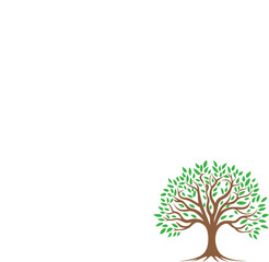 green tree isolated on white