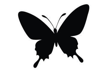 butterfly silhouette, butterfly silhouette, butterfly silhouette, vector icon, Isolated on White Background