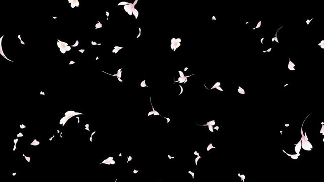 桜散る Images – Browse 875 Stock Photos, Vectors, and Video