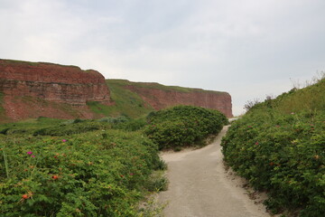 Fototapeta premium Rundweg auf der Insel Helgoland in der Nordsee im Sommer