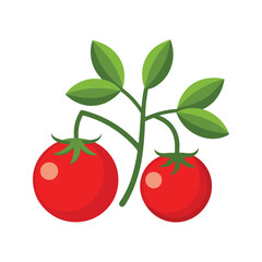 cherry tomatoes isolated on white