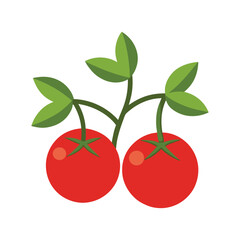 cherry tomatoes isolated on white