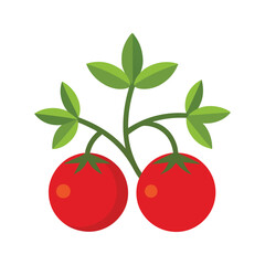 cherry tomatoes isolated on white