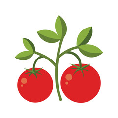 cherry tomatoes isolated on white