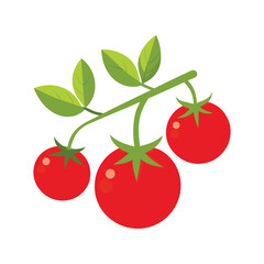 cherry tomatoes isolated on white