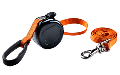 A stylish dog leash with a padded handle, isolated on a empty plain background