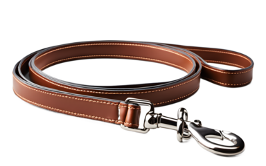 A stylish dog leash with a padded handle, isolated on a empty plain background