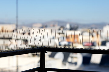 Anti-bird spikes are installed on the black balcony to scare away pigeons.