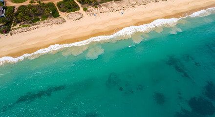 Beach ocean sand shore, aerial top view, realistic art
