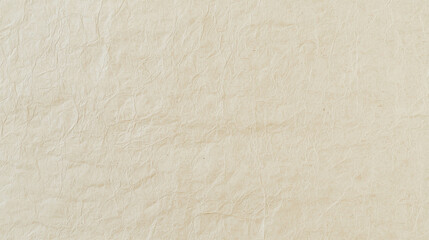 Handmade rice paper texture with intricate patterns and natural feel