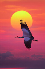 A stunning scene of a crane soaring against a vibrant sunset, with rich pink and orange hues illuminating the sky, showcasing the beauty and elegance of nature.