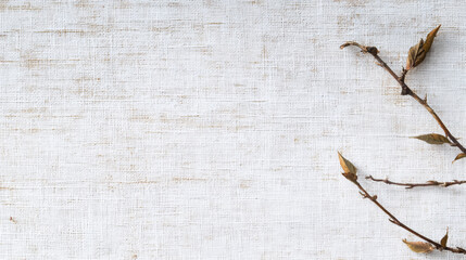 Delicate branch with dried leaves on textured white background, creating serene and natural aesthetic