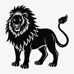 A beautiful black and white lion on a white background...