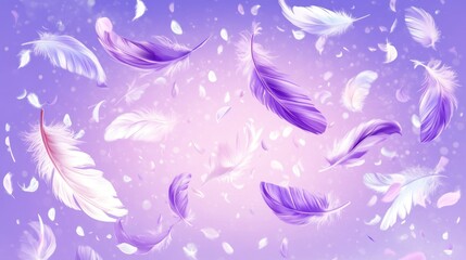 Lavender and white feathers float gently on a pastel background