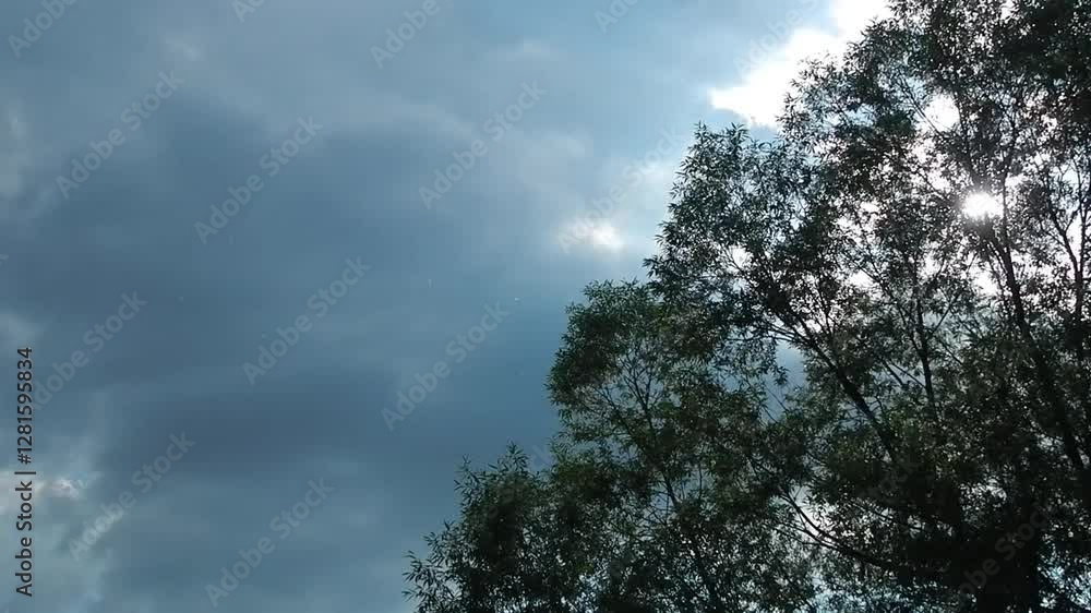 Poster sky with moving clouds, sun, large amount of pollen floating in air during flowering of trees and gr
