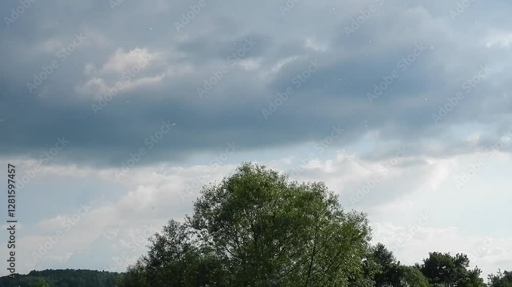 Poster sky with clouds and large amount of pollen floating in air during flowering of trees over horizon wi