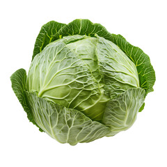 Obraz premium Fresh Green Cabbage: A close-up shot of a vibrant head of green cabbage, displaying its fresh, healthy leaves and textured surface. The cabbage is a symbol of freshness and wholesome eating.