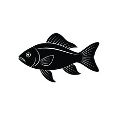 Lyretail Anthias Silhouette Vector Art Illustration and Black Color Design of Lyretail Anthias Fish